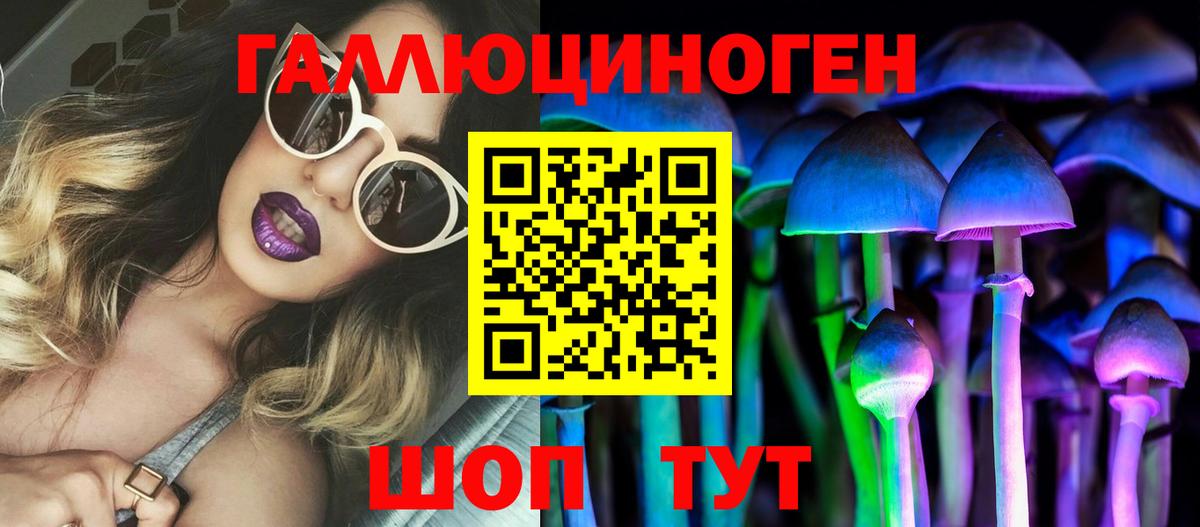 Елабуга  Псилоцибиновые грибы мицелий  Вход с VPN 